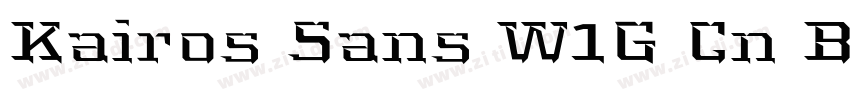 Kairos Sans W1G Cn B字体转换
